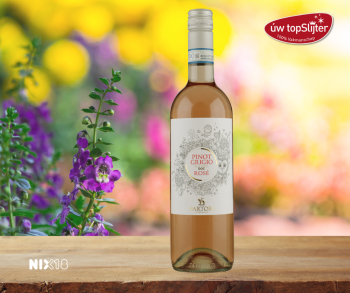 Sartori Rosé Pinot Grigio Blush - uw topSlijter nb