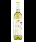 Rebe Pinot Grigio